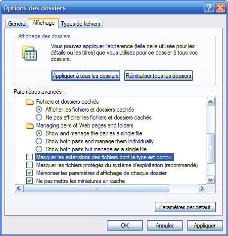 Fenêtre d'options d'affichage des dossiers sous Windows