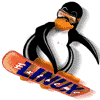 A piguin who is surfing